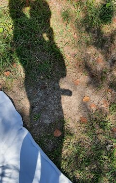 20230917_131212.jpg