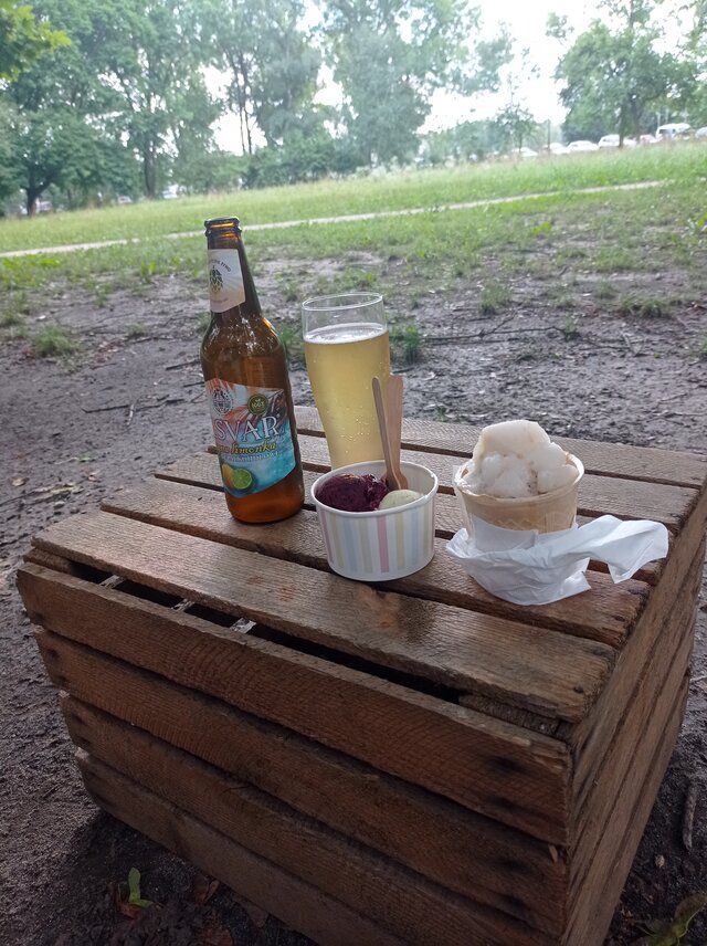 puszysta_pani_krakow