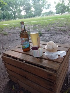 IMG_20240717_154820.jpg