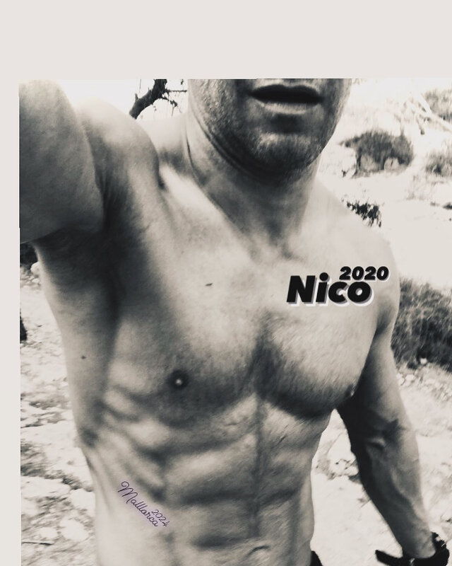 Nico2020
