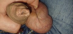 Napletek i jaja lizac do spermy