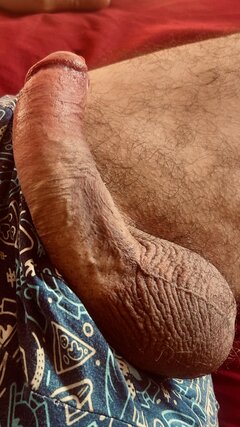 IMG_1529.jpeg