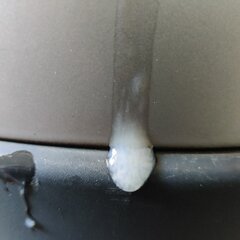 IMG_20240721_112946.jpg