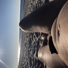 IMG_0648.jpeg