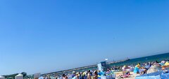 IMG_1785.jpeg