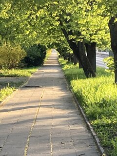 IMG_2416.jpeg