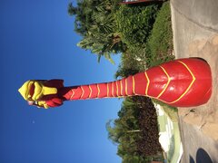 IMG_4914.jpeg
