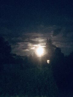 CC8AD9E1-467B-442C-AA55-7DF7E96D44D6.jpeg