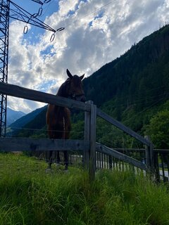 IMG_4105.jpeg