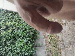 IMG_20240724_173531.jpg
