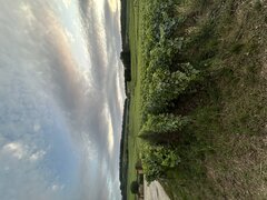 IMG_5193.jpeg