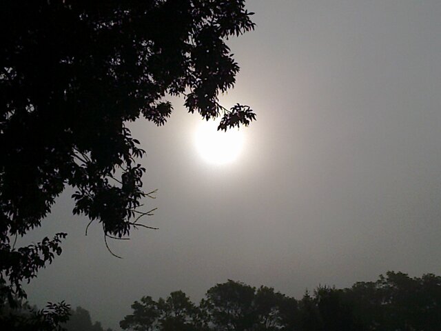 kickic