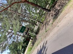 20240727_115503.jpg