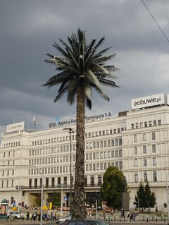 IMG_20240726_190701.jpg
