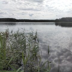 IMG_20240727_111216.jpg