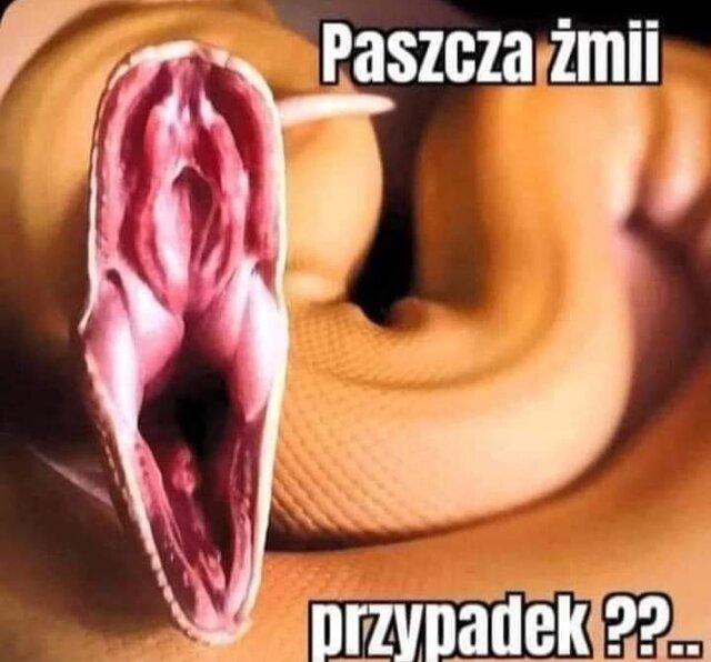 jedynitacy1976
