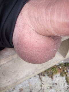 IMG_20240728_071257_962.jpg