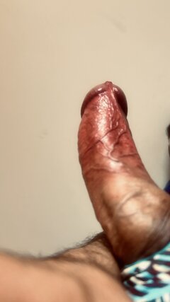 IMG_1695.jpeg