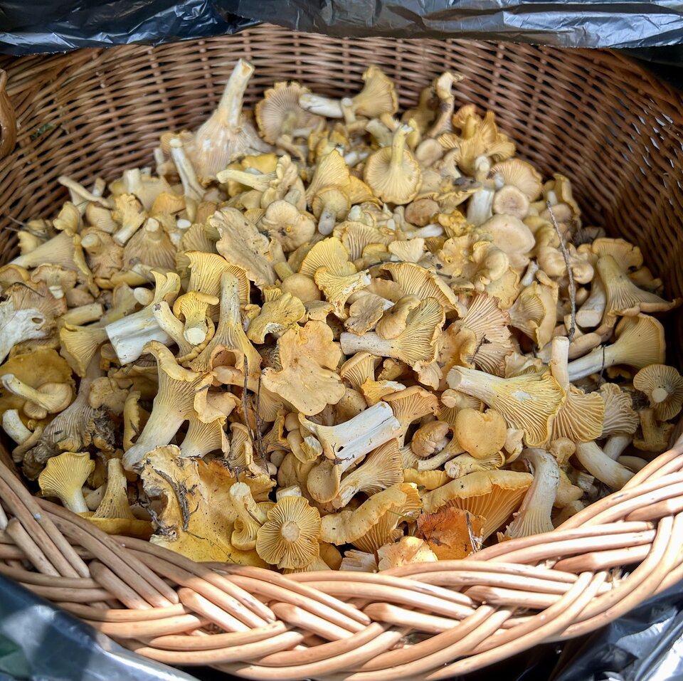 IMG_3617.jpeg - NaturystaXXX