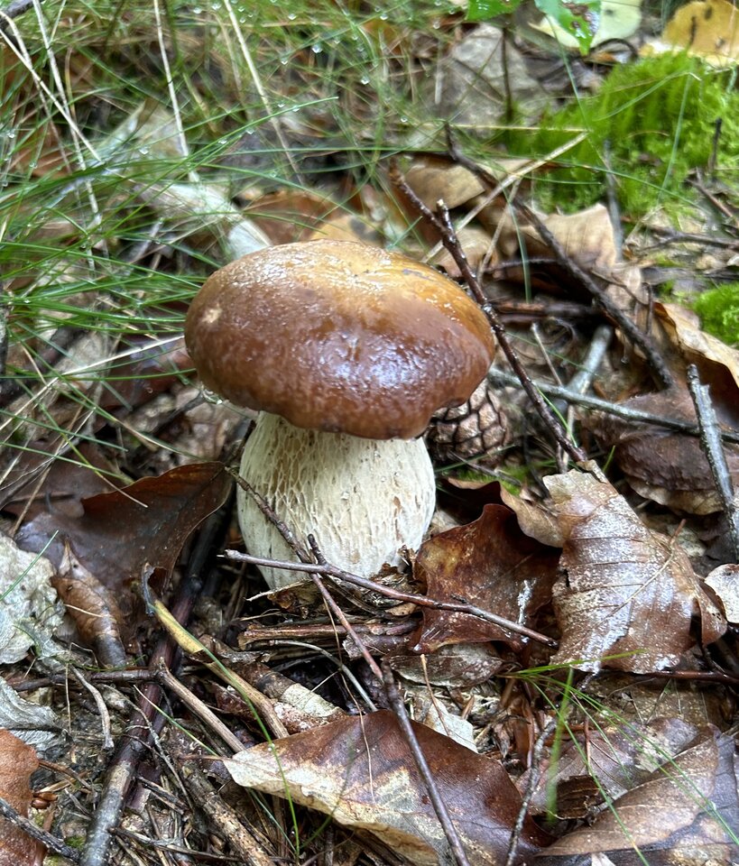 IMG_3667.jpeg - NaturystaXXX