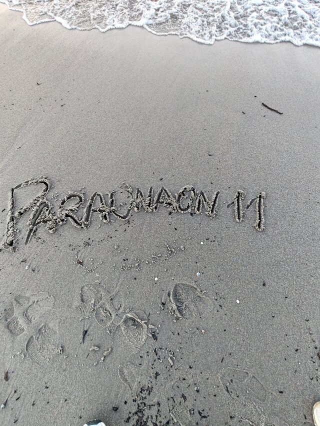 paraonaon11