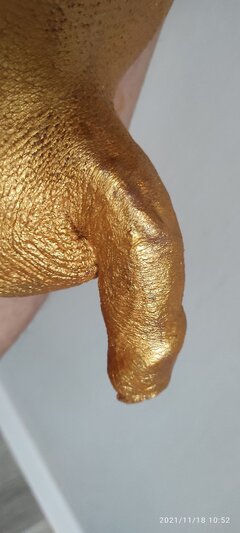 1000002362.jpg
