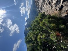 IMG_1459.jpeg