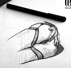Art. No. 291