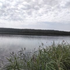 IMG_20240727_110907.jpg