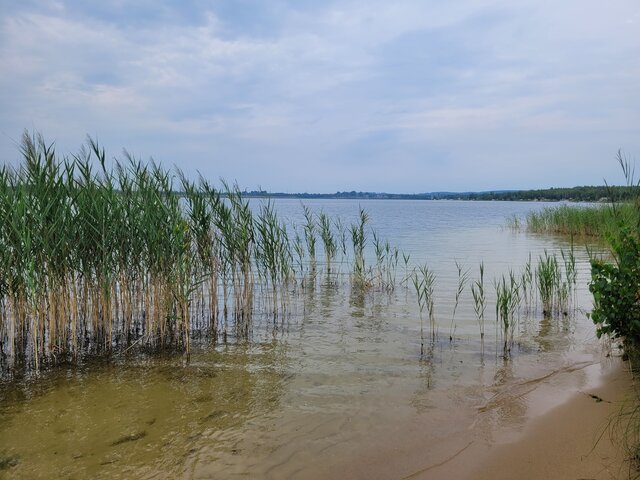 Marcin_grzybowice