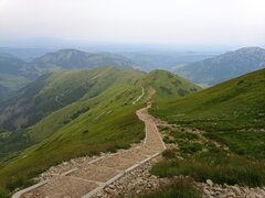 IMG_20240630_122937.jpg