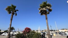 IMG_6581.jpeg