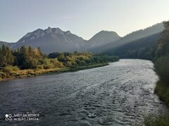 IMG_20240727_063759.jpg