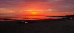 IMG_20240628_042749.jpg
