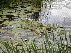 20240730_111540.jpg