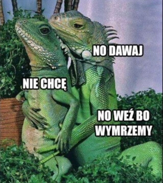 Lukasz3984