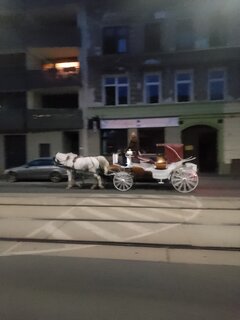 IMG_20240720_212009.jpg
