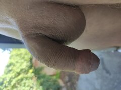 IMG_20240806_064310.jpg