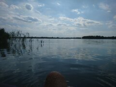 DSC_0702.JPG