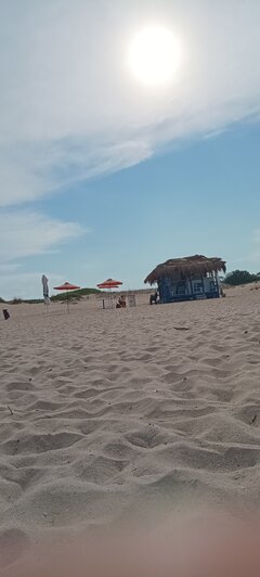 IMG_20240805_172425.jpg
