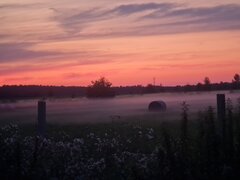 20240720_212507.jpg
