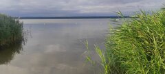 IMG_20240723_061838.jpg