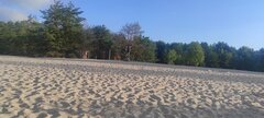 IMG_20240723_062016.jpg
