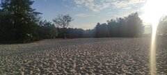 IMG_20240723_061751.jpg