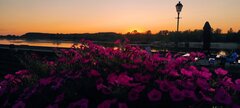 IMG_20240730_201103.jpg