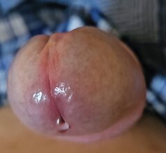 1000063211.jpg