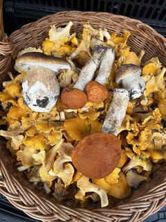 IMG_3953.jpeg