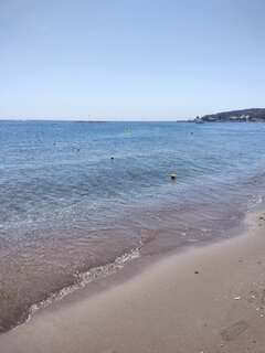 IMG20240810111828.jpg