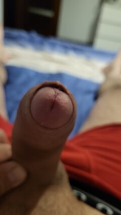 IMG-20230929-WA0007.jpg