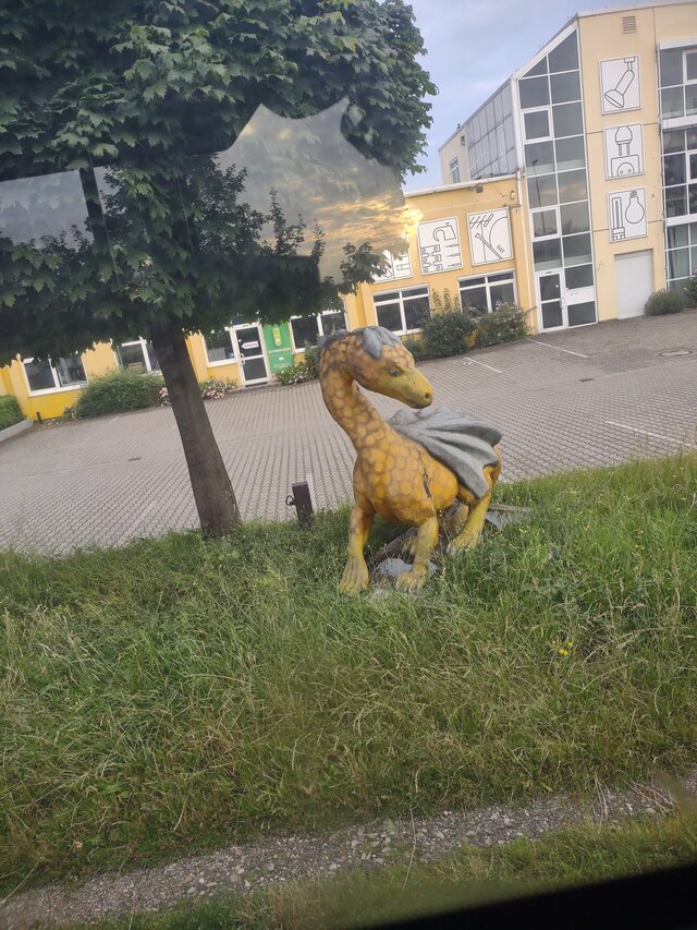 robertnkjo